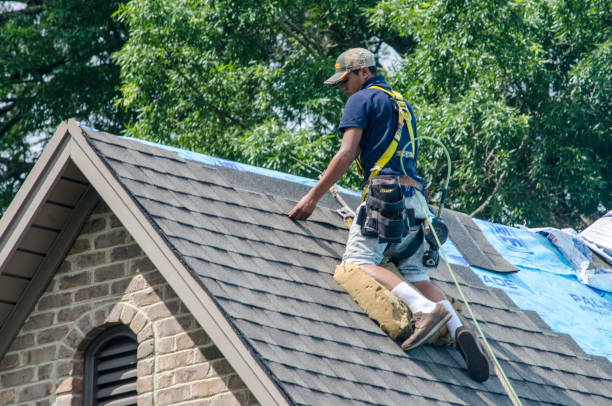 Best Roof Gutter Cleaning  in Alhambra, CA